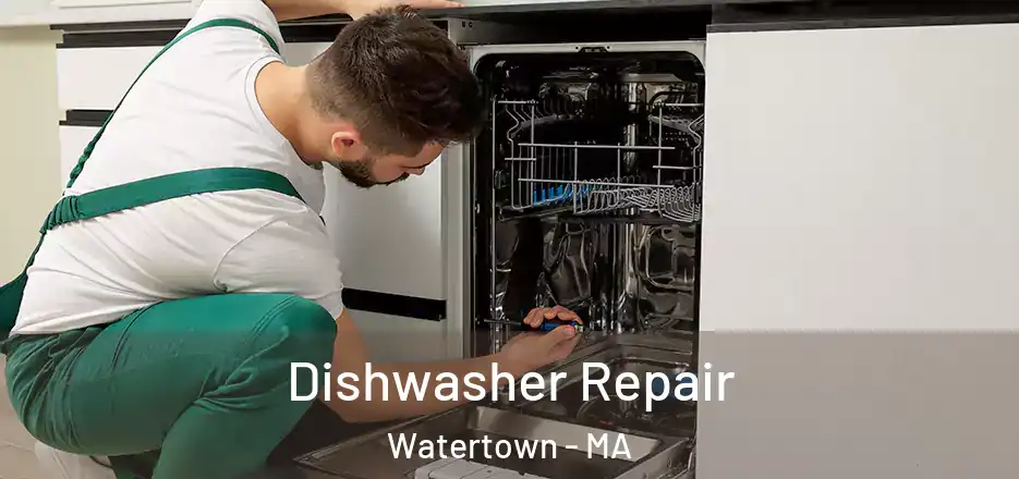  Dishwasher Repair Watertown - MA