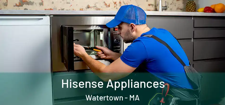  Hisense Appliances Watertown - MA