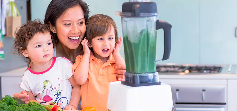 Juicer and Mixer Blender Repair in Watertown 
