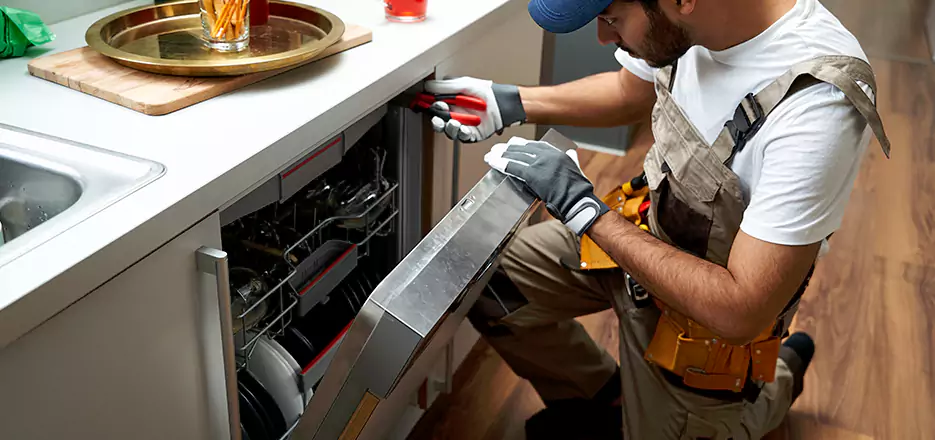 Same Day Dishwasher Not Draining Repair in Watertown