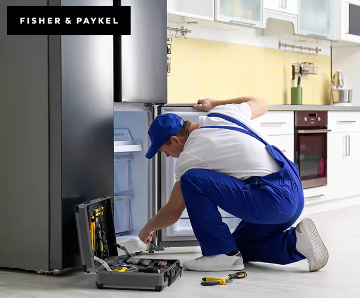 Top-Rated Fisher & Paykel Appliance Experts: Your Brand Specialist in Watertown, MA