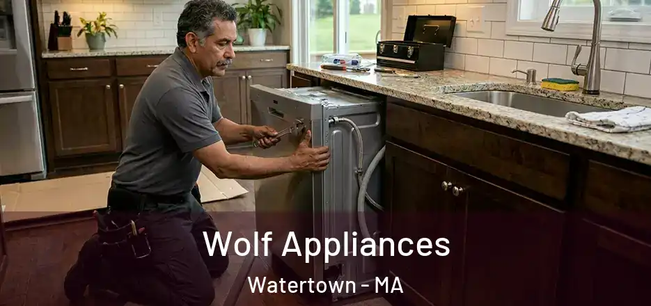  Wolf Appliances Watertown - MA